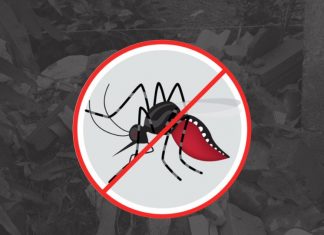 Capelinha em Alerta contra o Mosquito Aedes aegypti: Medidas Intensificadas pela Prefeitura no Combate às Arboviroses