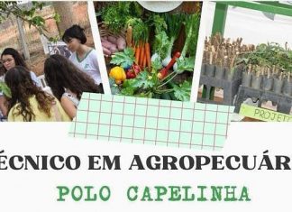 IFNMG divulga resultado final do Processo Seletivo para Curso Técnico em Agropecuária no Polo UAB de Capelinha