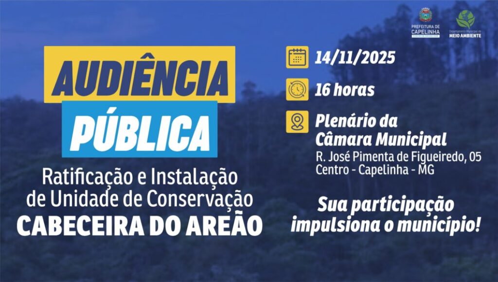 AUDIÊNCIA PÚBLICA CABECEIRA DO AREÃO AUDIÊNCIA PÚBLICA CABECEIRA DO AREÃO