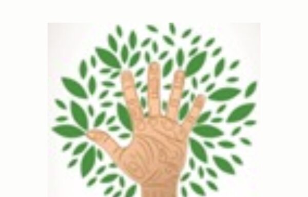 CONVOCAÇÃO – CODEMA